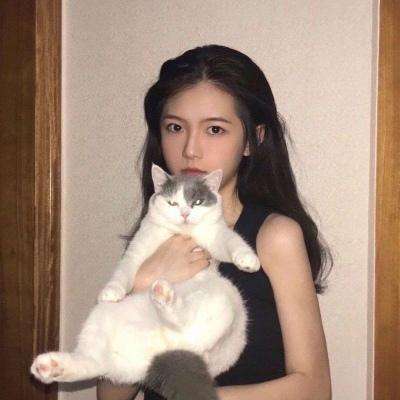 六界神谕官方版下载